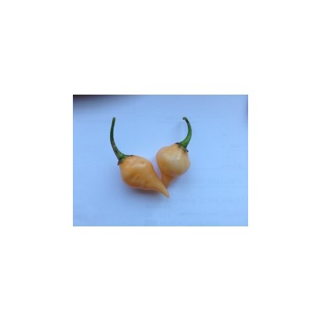 Chupetinho big peach seeds