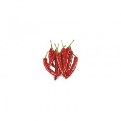 Graines de Peperoncino messicano