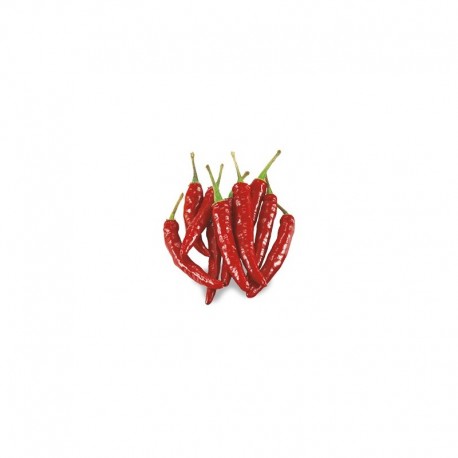 Semi Peperoncino messicano