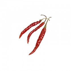 Chile de Arbol semillas