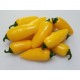 Semi Peperoncino Jalapeno yellow