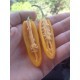 Graines de Peperoncino Jalapeno yellow