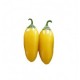 Graines de Peperoncino Jalapeno yellow