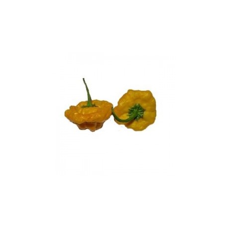 Jamaica Hot yellow semillas