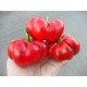 Graines de Tomato pepper