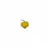 Dried Carolina Reaper Yellow