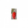 Dried Bhut Jolokia