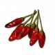 Calabrian Pepper seco