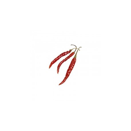 Chile de Arbol secco