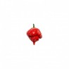 Trinidad Scorpion Butch T seeds