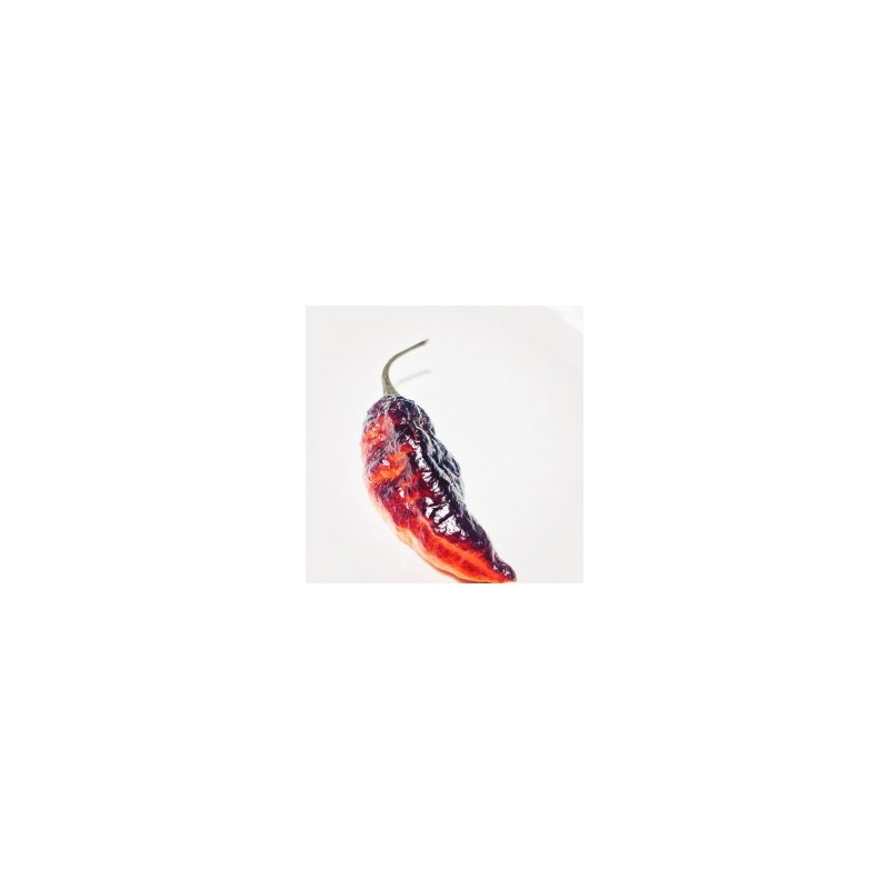 25 Seeds From Orange Black Panther Hot Pepper-C 035
