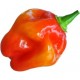 Graines de Habanero Red Savina