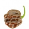 Graines de Habanero chocolate