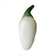 Graines de Habanero white Bullet