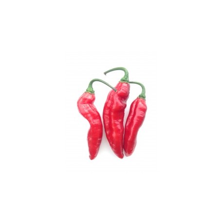 Graines de Pimenta de Neyde Red